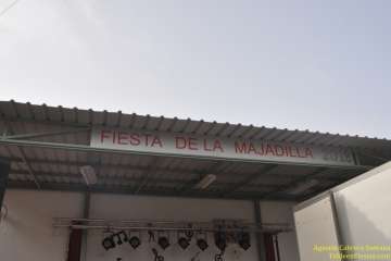 Bajada de la Rama en La Majadilla (Foto TF)